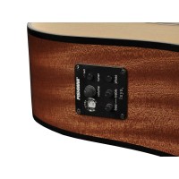 RICHWOOD D-40-CE MASTER Akustična kitara