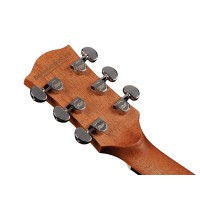 RICHWOOD D-40-CE MASTER Akustična kitara