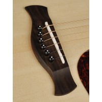 RICHWOOD D-40-CE MASTER Akustična kitara