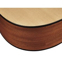 RICHWOOD D-40-CE MASTER Akustična kitara