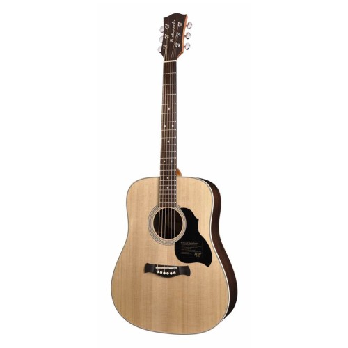 RICHWOOD D-60 MASTER Akustična Kitara 