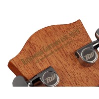 RICHWOOD D-60-CE MASTER Elektro akustična kitara