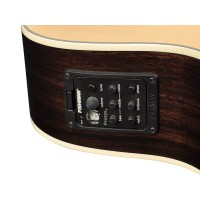 RICHWOOD D-60-CE MASTER Elektro akustična kitara