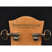 RICHWOOD D-70-CEVA MASTER Akustična kitara