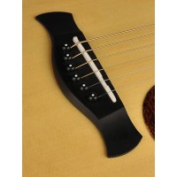 RICHWOOD G-70-CEVA MASTER Elektro Akustična Kitara