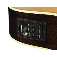 RICHWOOD G-70-CEVA MASTER Elektro Akustična Kitara