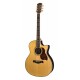 RICHWOOD G-70-CEVA MASTER Elektro Akustična Kitara