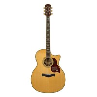 RICHWOOD G-70-CEVA MASTER Elektro Akustična Kitara