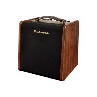 RICHWOOD MASTER STAGE ELITE Vrhunski kitarski set TOP!
