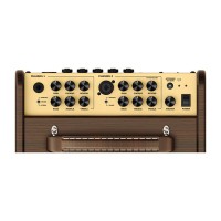 RICHWOOD PERFORMER RPF-65 Pro Ojačevalec za akustično kitaro + VOKAL
