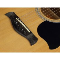 RICHWOOD RD12-CE Elektro akustična kitara