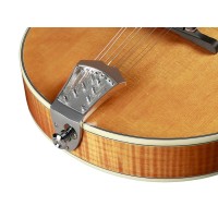 RICHWOOD RMA-110-VS Heritage series Mandolina