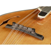 RICHWOOD RMA-110-VS Heritage series Mandolina