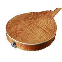 RICHWOOD RMA-110-VS Heritage series Mandolina