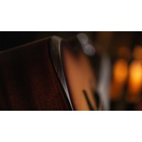 SOUNDSATION EDGE ST DN-NT Akustična kitara z odrezanim ROBOM ARMREST SOUNDSATION EDGE ST DN-NT Akustična kitara z odrezanim ROBOM ARMREST
