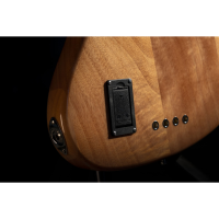 SOUNDSATION SPUR DELUXE 5 TNT 5 strunski bas kitara 