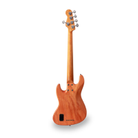 SOUNDSATION SPUR DELUXE 5 TNT 5 strunski bas kitara 