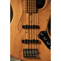 SOUNDSATION SPUR DELUXE 5 TNT 5 strunski bas kitara 