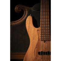 SOUNDSATION SPUR DELUXE 5 TNT 5 strunski bas kitara 