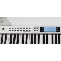 MEDELI SP4200+/WH Stage piano digitalni električni klavir