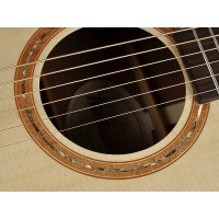 RICHWOOD SWG-110-CE MASTER Akustična kitara akustične kitare